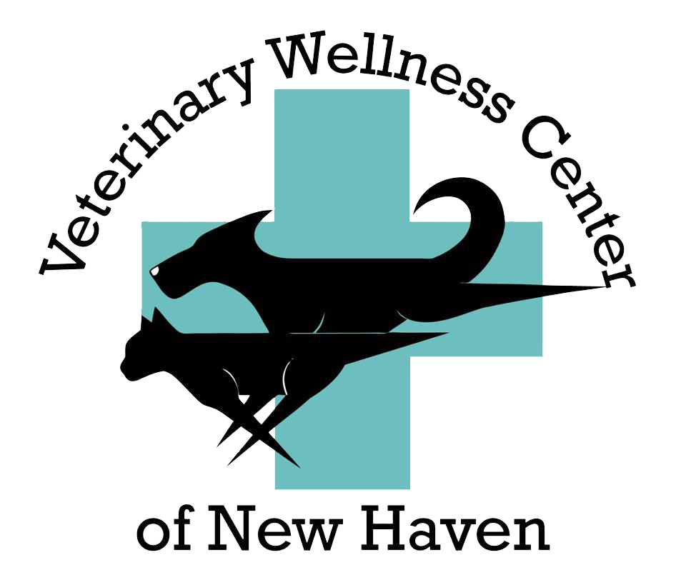 Veterinary Wellness Center of New Haven